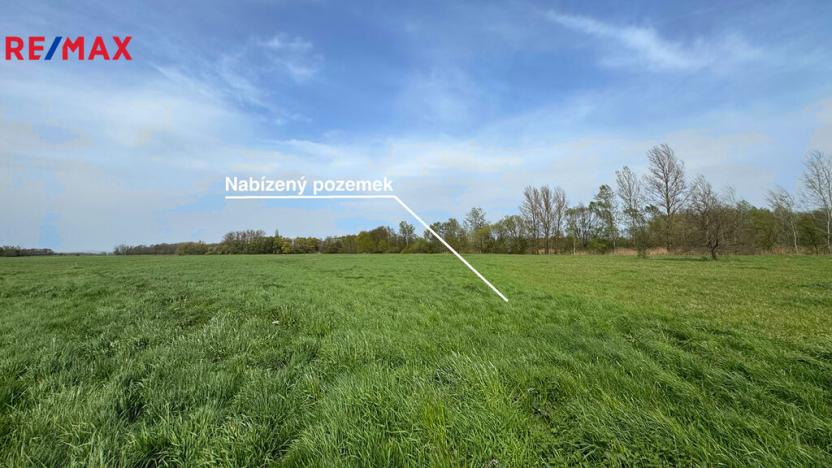 Prodej zemědělské půdy, Olomouc, 4547 m2