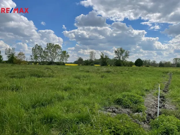 Prodej zemědělské půdy, Olomouc, 4547 m2