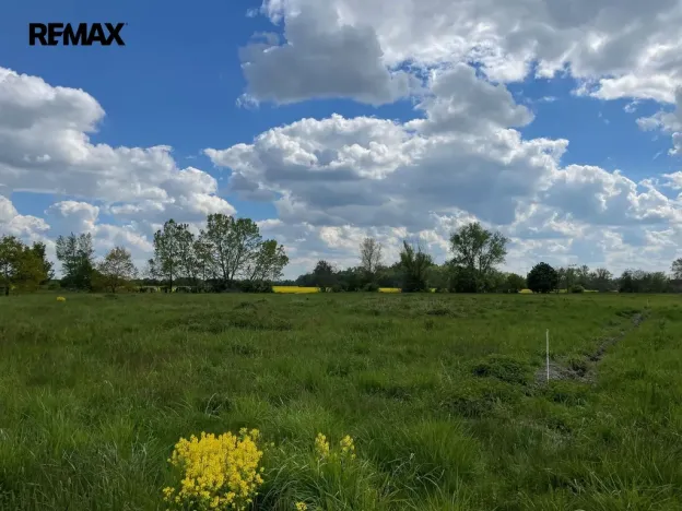 Prodej zemědělské půdy, Olomouc, 4547 m2