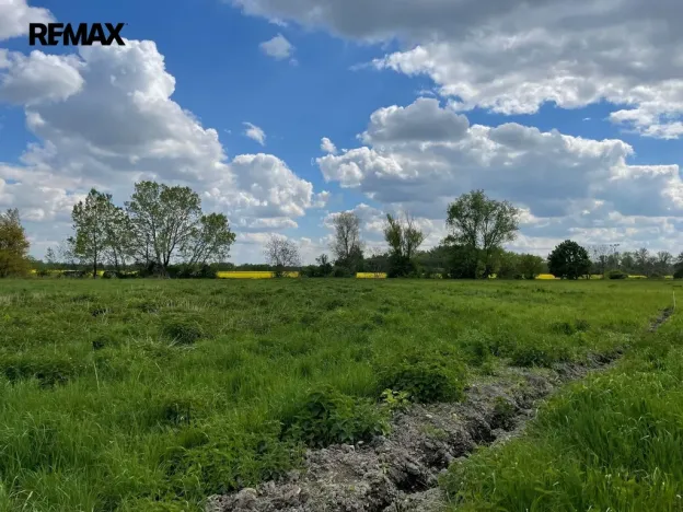 Prodej zemědělské půdy, Olomouc, 4547 m2