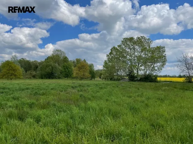 Prodej zemědělské půdy, Olomouc, 4547 m2