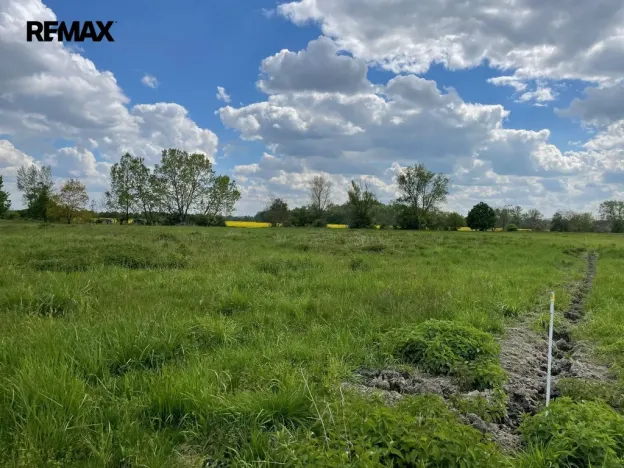 Prodej zemědělské půdy, Olomouc, 4547 m2