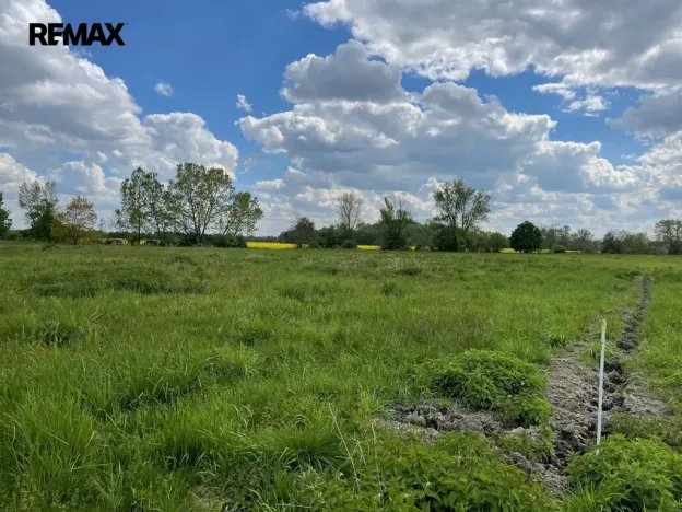 Prodej zemědělské půdy, Olomouc, 4547 m2