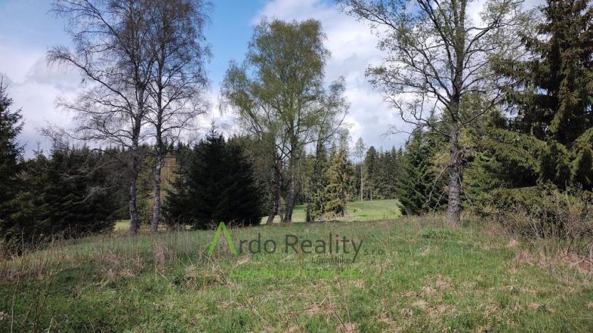 Prodej pozemku pro bydlení, Přední Výtoň, 1887 m2