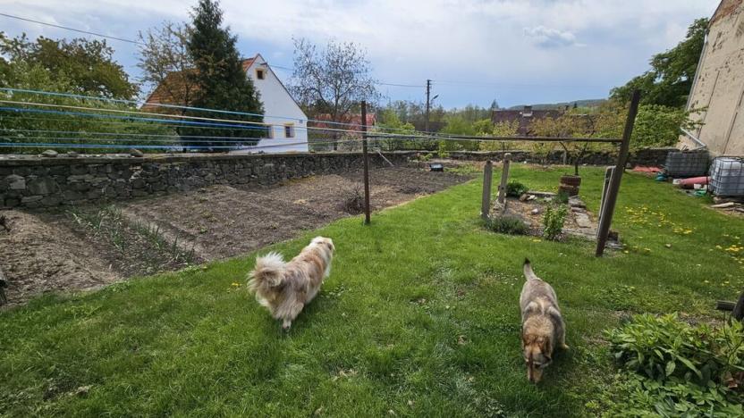 Prodej rodinného domu, Úštěk - Dolní Vysoké, 1634 m2