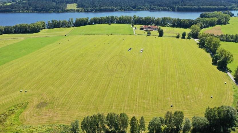 Prodej zemědělské půdy, Horní Planá, 92549 m2