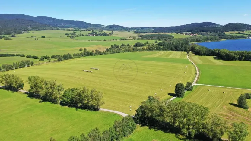 Prodej zemědělské půdy, Horní Planá, 92549 m2