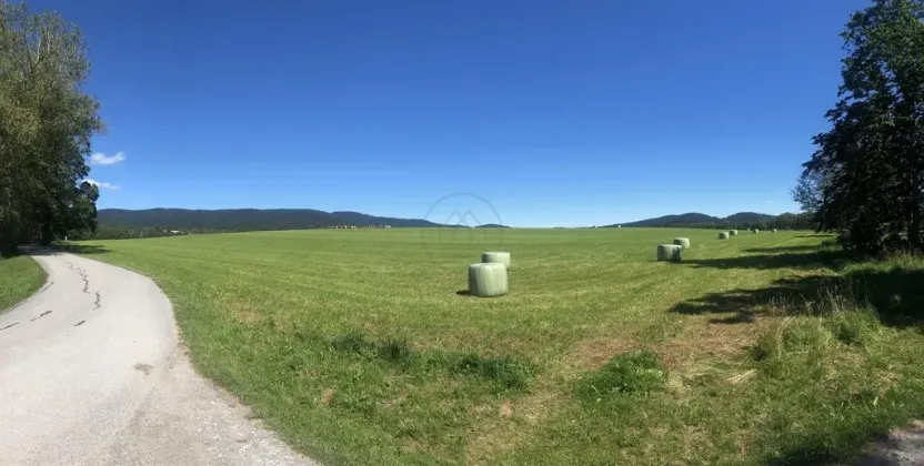 Prodej zemědělské půdy, Horní Planá, 92549 m2