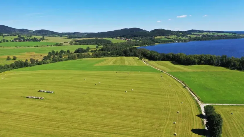 Prodej zemědělské půdy, Horní Planá, 92549 m2