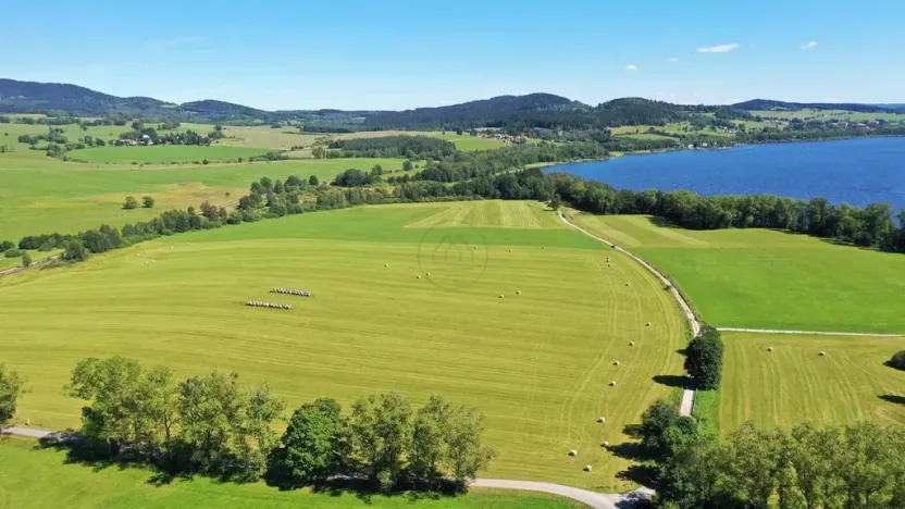 Prodej zemědělské půdy, Horní Planá, 92549 m2