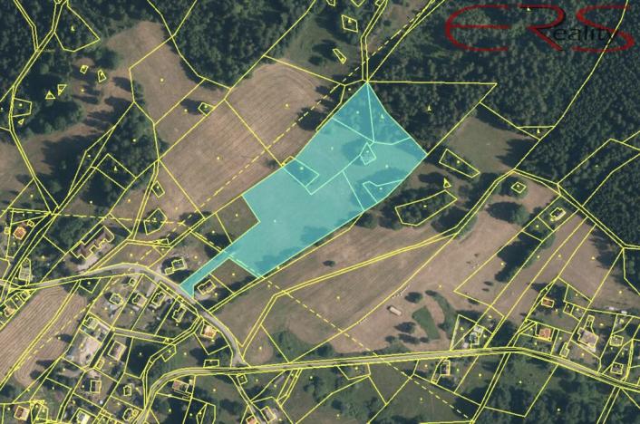 Prodej trvalého travního porostu, Smržovka, 18246 m2