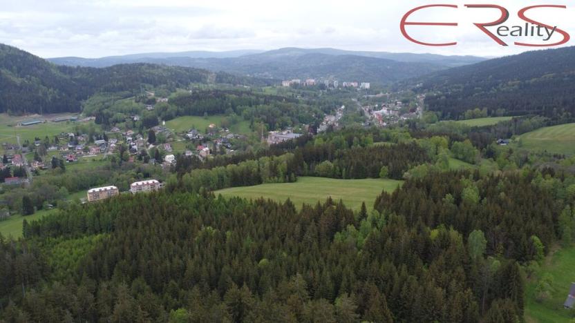 Prodej trvalého travního porostu, Smržovka, 18246 m2