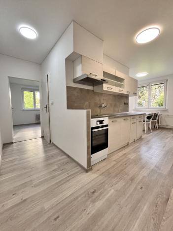 Pronájem bytu 3+1, Olomouc - Nová Ulice, Pionýrská, 63 m2