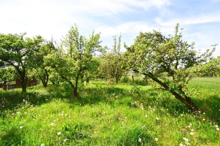 Prodej pozemku pro bydlení, Ronov nad Doubravou, Nádražní, 2419 m2