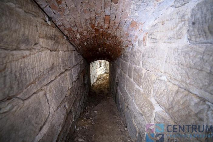 Prodej rodinného domu, Medonosy, 480 m2