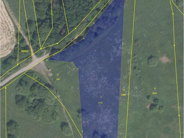 Prodej louky, Česká Lípa, 6261 m2