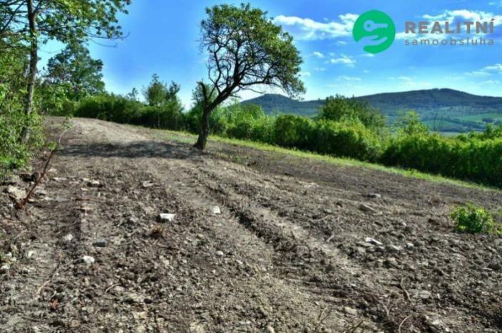 Prodej zahrady, Velemín - Oparno, 1600 m2