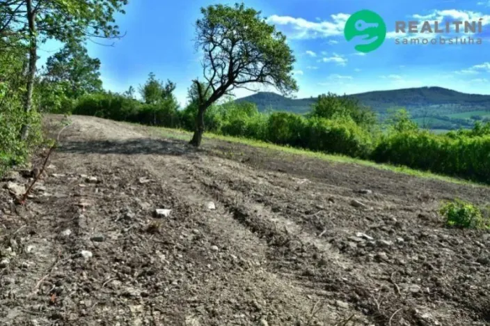 Prodej zahrady, Velemín - Oparno, 1600 m2