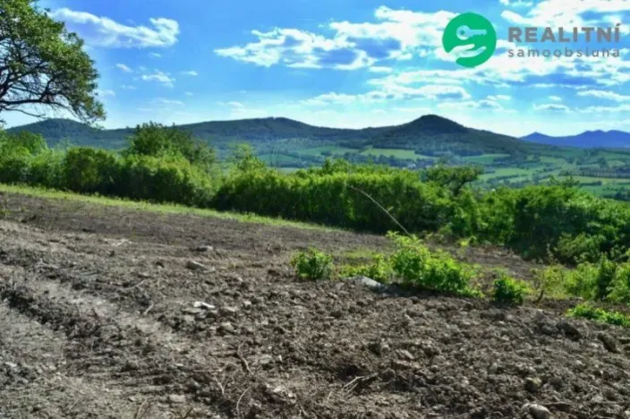 Prodej zahrady, Velemín - Oparno, 1600 m2