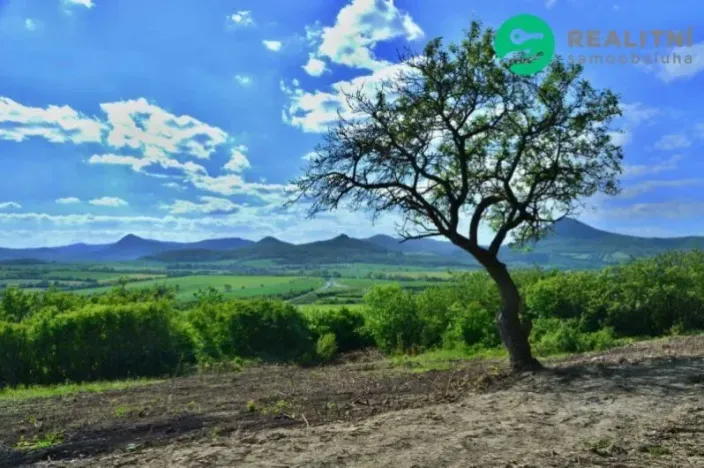 Prodej zahrady, Velemín - Oparno, 1600 m2