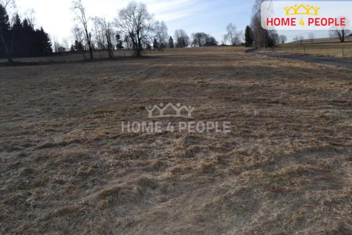 Prodej pozemku pro bydlení, Bublava, 9092 m2