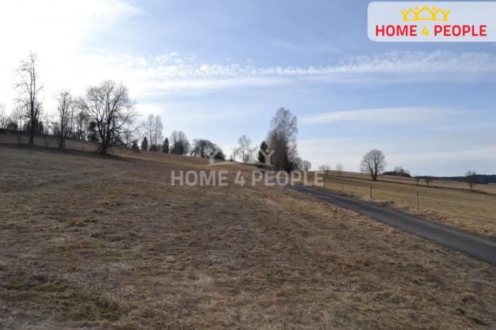 Prodej pozemku pro bydlení, Bublava, 9092 m2