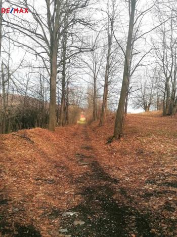 Prodej pozemku pro bydlení, Zlaté Hory, 2478 m2