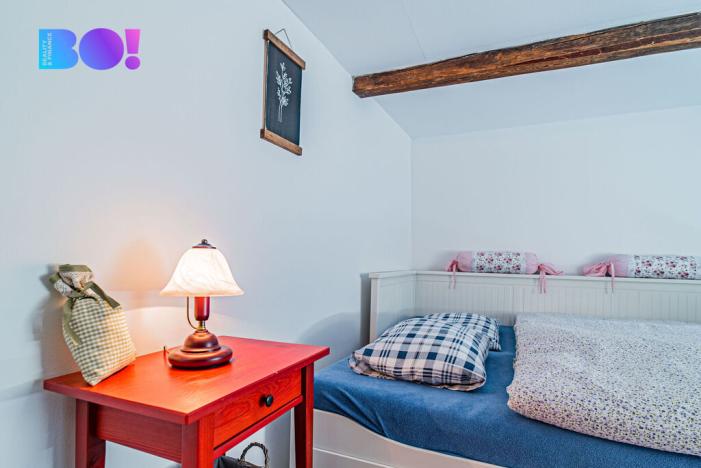 Prodej chalupy, Janov, 210 m2