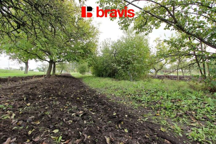 Prodej zahrady, Sokolnice, 704 m2