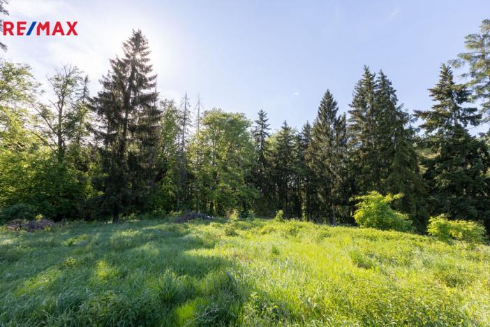 Prodej pozemku pro bydlení, Karlovy Vary, 3902 m2