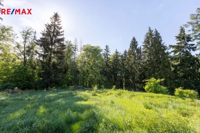 Prodej pozemku pro bydlení, Karlovy Vary, 3902 m2