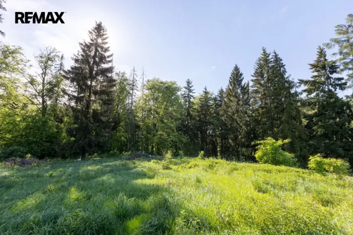 Prodej pozemku pro bydlení, Karlovy Vary, 3902 m2