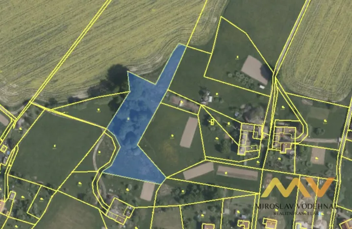 Prodej trvalého travního porostu, Dvůr Králové nad Labem, Sylvárov, 5858 m2