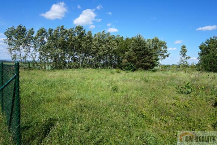 Prodej pozemku pro komerční výstavbu, Tovéř, 3074 m2