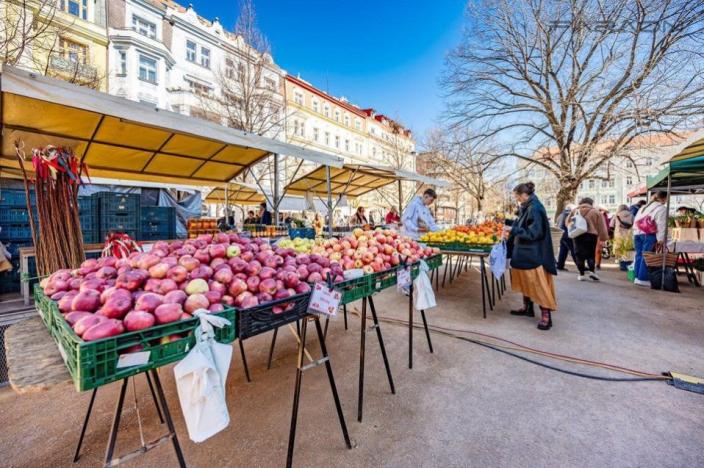 Prodej bytu 1+1, Praha - Vinohrady, 90 m2