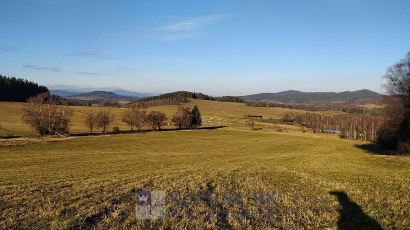 Prodej pozemku pro bydlení, Benešov nad Černou - Kuří, 7089 m2