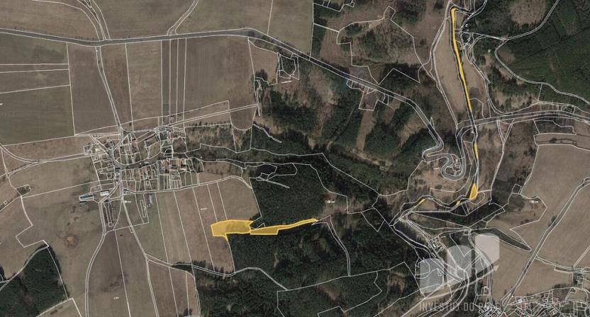 Prodej trvalého travního porostu, Planá - Svahy, 29751 m2