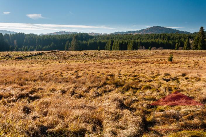 Prodej pozemku pro bydlení, Prášily, 2295 m2
