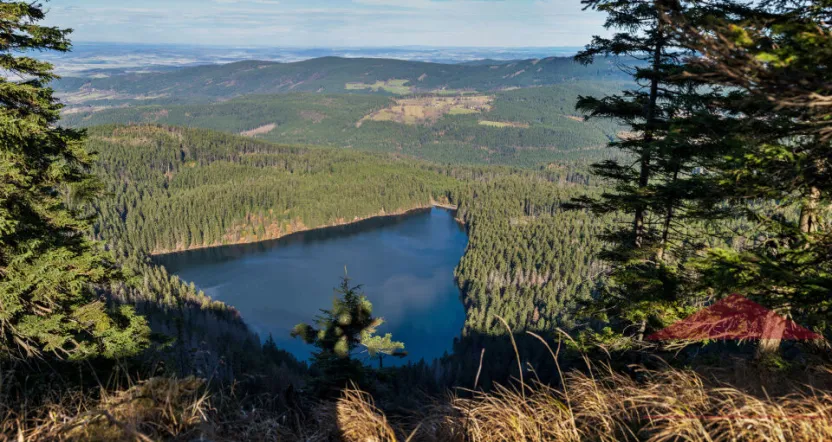 Prodej pozemku pro bydlení, Prášily, 2295 m2