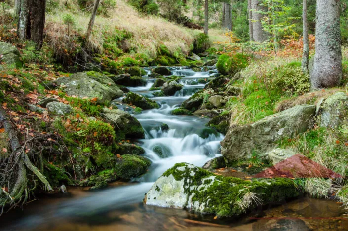 Prodej pozemku pro bydlení, Prášily, 2295 m2