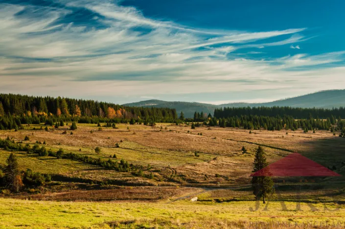 Prodej pozemku pro bydlení, Prášily, 2295 m2