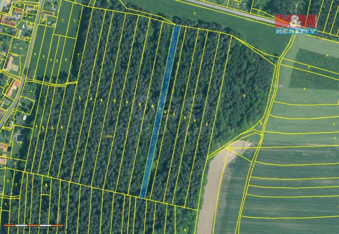 Prodej lesa, Dražíč, 6005 m2