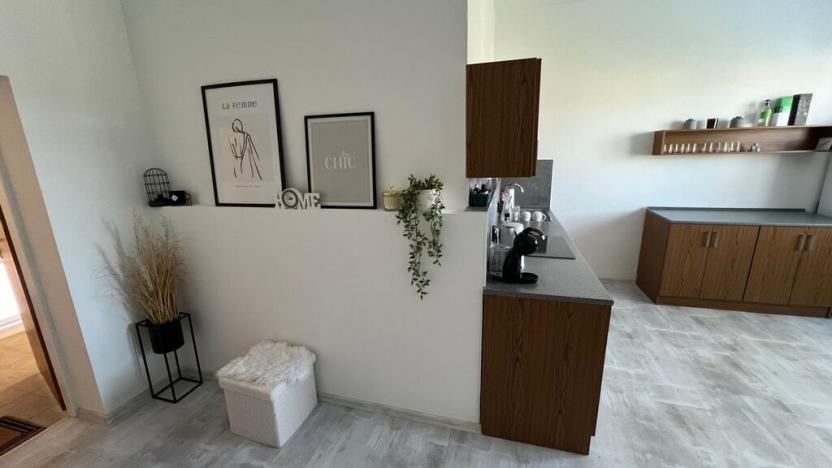 Pronájem bytu 2+kk, Ústí nad Labem - Ústí nad Labem-centrum, Panská, 70 m2