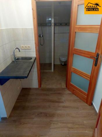 Prodej rodinného domu, Písařov - Bukovice, 520 m2