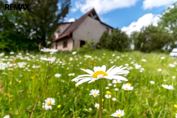 Prodej rodinného domu, Čermná, 280 m2