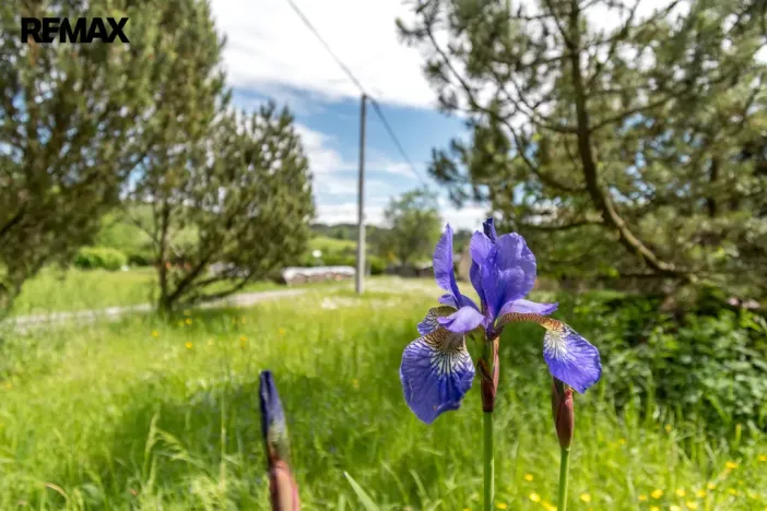 Prodej rodinného domu, Čermná, 280 m2