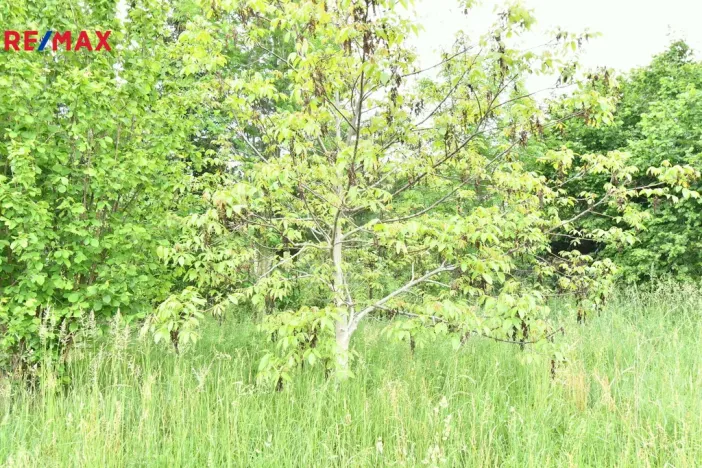 Prodej pozemku pro bydlení, Nový Bydžov, 4580 m2