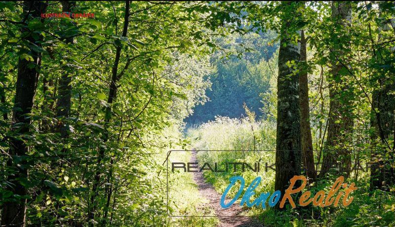 Prodej lesa, Křečkov, 339223 m2