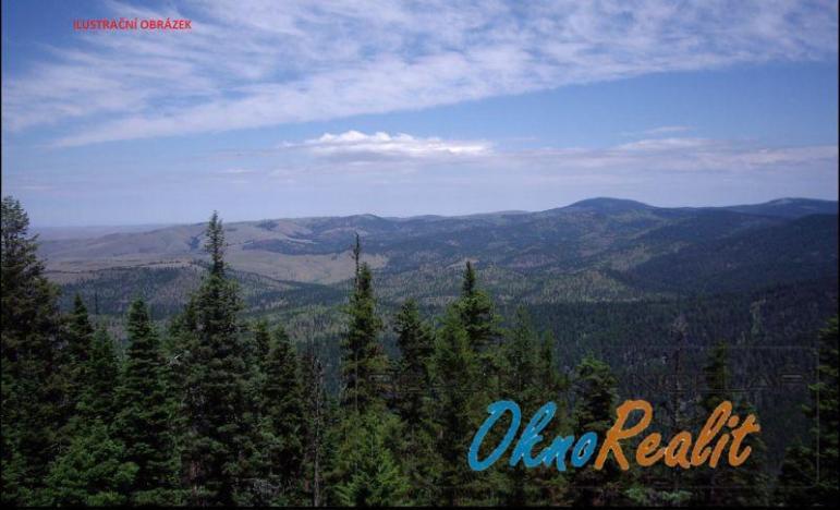 Prodej lesa, Křečkov, 339223 m2