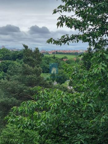 Prodej zahrady, Zdiby, Skopec, 69 m2